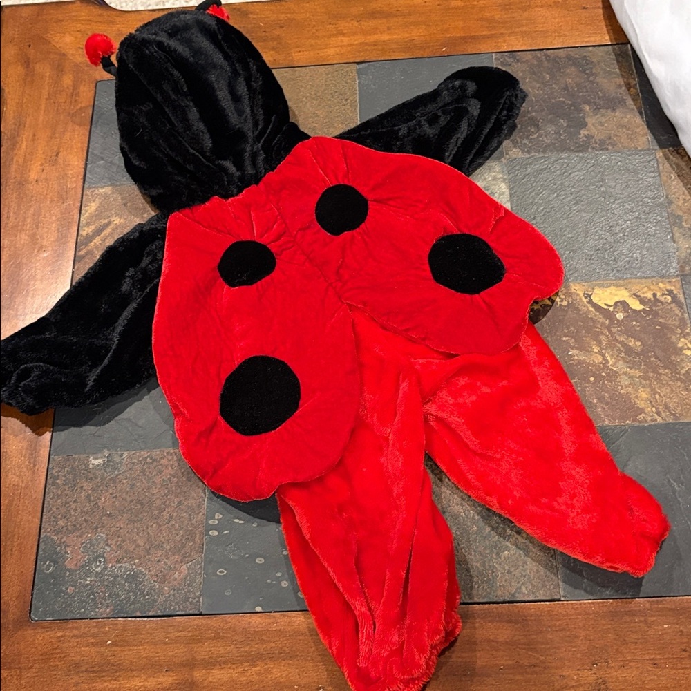 Red & Black Lady Bug Plush costume.
